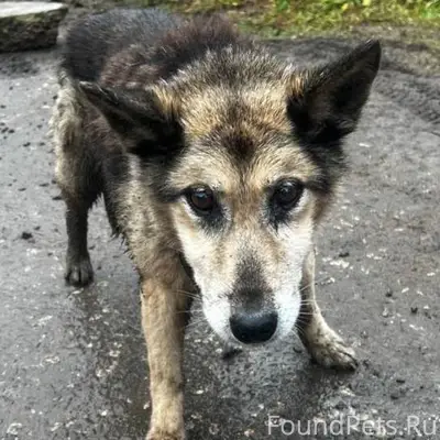 НАЙДЕН / ЗАМЕЧЕН ❗️МЕТИС В БЕД...