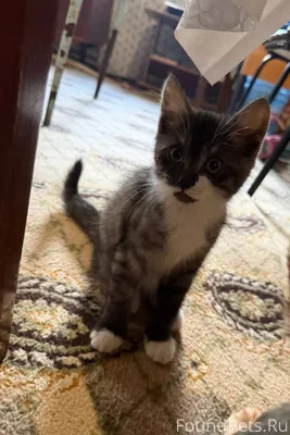 Доброго времени суток. Нужна п...