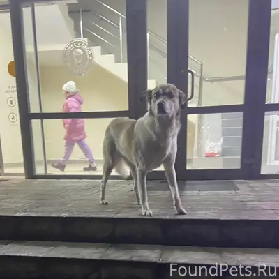 SOS! В Сафоново, Шоссейная с21...