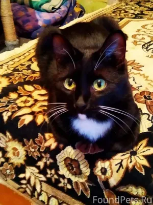 Друзья,мне срочно нужно пристр...