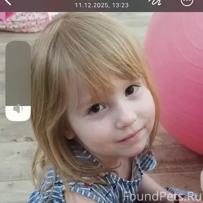 Пропал кот по кличке Зак! Прос...