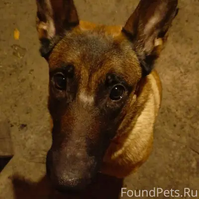 ВНИМАНИЕ,срочный поиск‼️‼️‼️‼️...