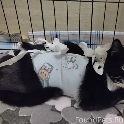 В Коряжме в районе стоматологи...