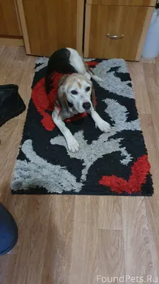 Хозяин отзовись...на трассе Яс...