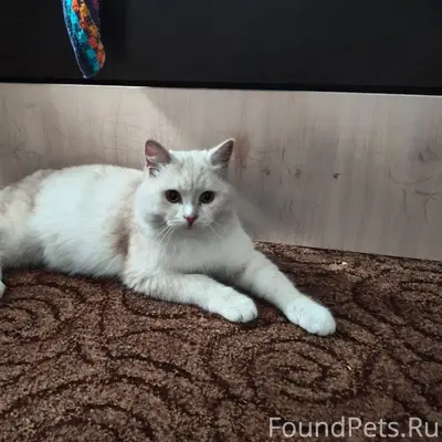 Курган!!! SOS!!!Помогаю информ...