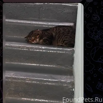 Здравствуйте , вчера забрали к...