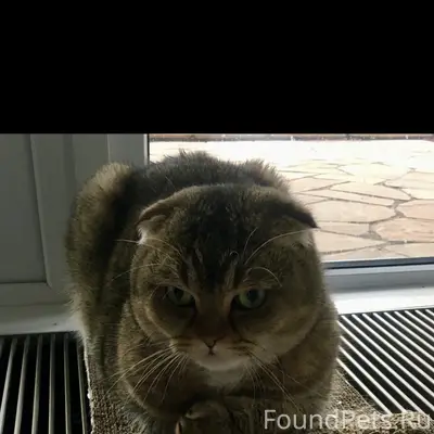 Помогите найти