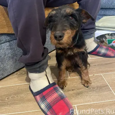 В деревне Ванакюля Кингисеппск...