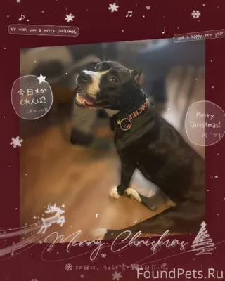 Ищeт дом, потряcающая Цера💕 На...