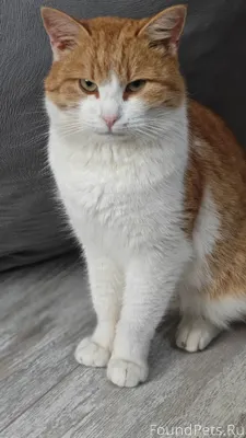 Внимание жителям Кемли, район ...