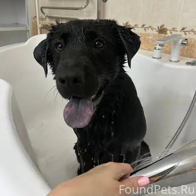 Не теряем надежды 😢 Любимца жд...