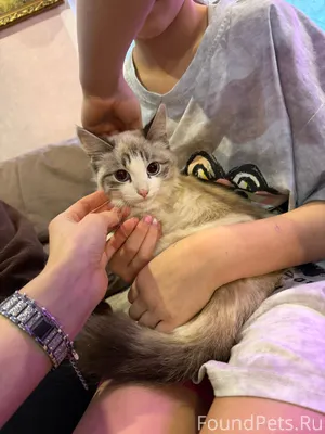 ПОМОГАЕМ ИНФОРМАЦИОННО Найдена...