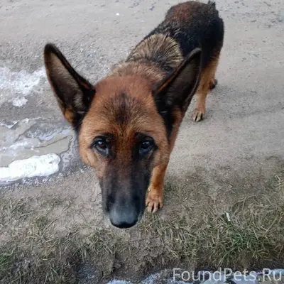 Добрый вер, 13.12.25 найдена.....