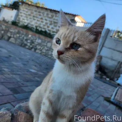 Всем доброго времени суток! Пр...