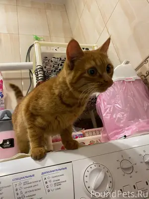 Товарищи, всем доброго времени...