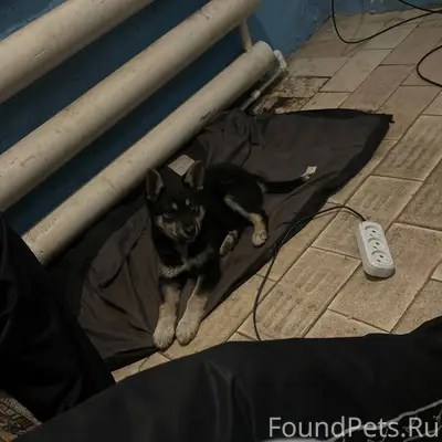 Здравствуйте! 🙏 Не останьтесь ...