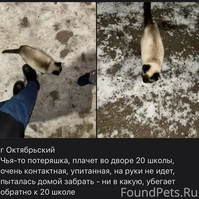 Дублирую Нашла, пока забрала д...