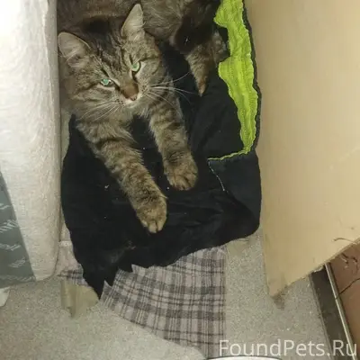 Добрый вечер! На Чкалова, 47а ...