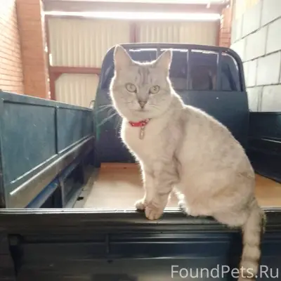 В районе улицы Октябрьской про...