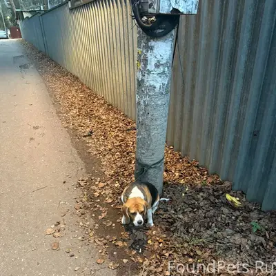 МО, Раменский район, посёлок У...