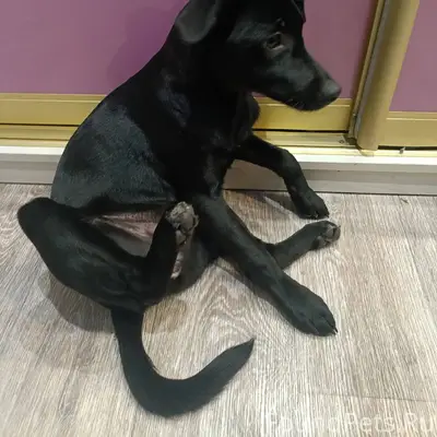 13 декабря в 6 00рано утром...