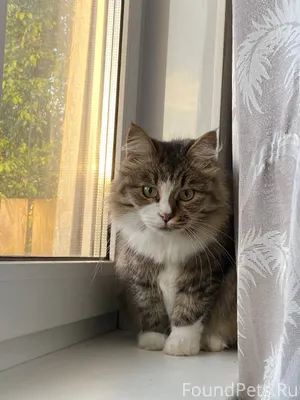 Уважаемые жители рудника! Нужн...