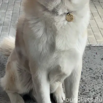 Пост временный❗️ Старый Оскол!...