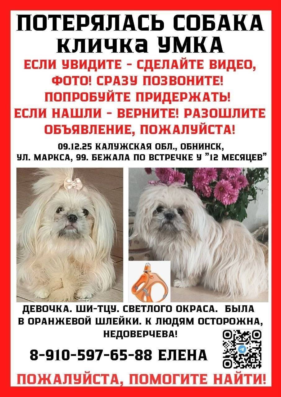 СЕМЬЯ ИЩЕТ УМКУ ОБНИНСК, ОКРУГ...