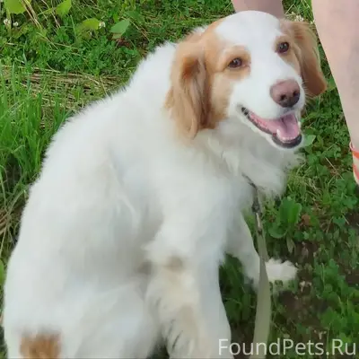 Друзья ..Здравствуйте!.Пропала...