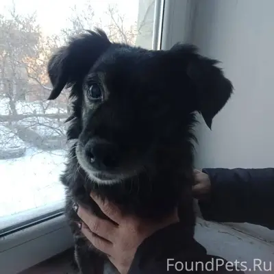 В районе бывшей наркологии (Га...