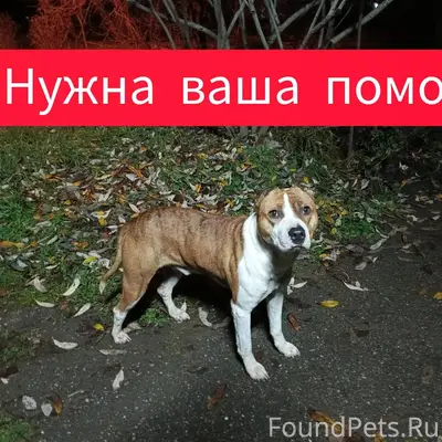 Будëнновск💥💥💥Обращаюсь к вам з...