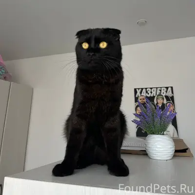 Большая просьба, если кто-то в...