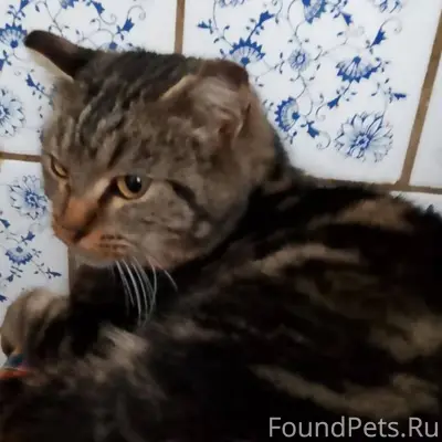 Присмотритесь,пожалуйста !!! М...