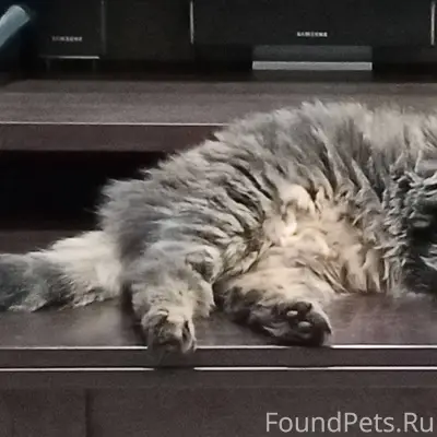 Здравствуйте, у меня пропал ко...