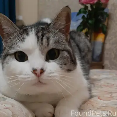 Район мойки Жемчужина. 09.12.2...