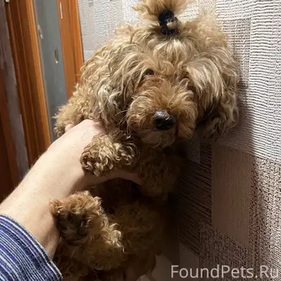 В 12-м. мкр-не в...