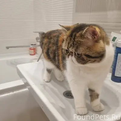 5.12 на Ленинградской пропала ...