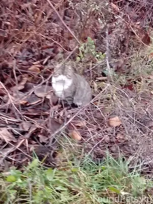 🆘️🆘️🆘️🆘🆘🆘🆘🆘🆘🆘🆘🆘🆘🆘Жители с. ГЛЕ...