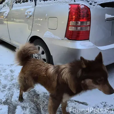 В Абакане на Щетинкина между д...