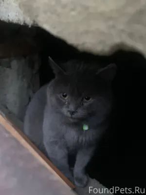 Ставрополь Найдены ‼️ 45 парал...