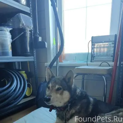 Богородский район. Помогаю инф...