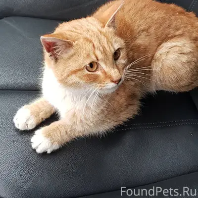 На ул. Лесокомбинатская, рядом...