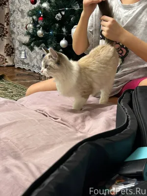 ПОМОГАЕМ ИНФОРМАЦИОННО Была на...