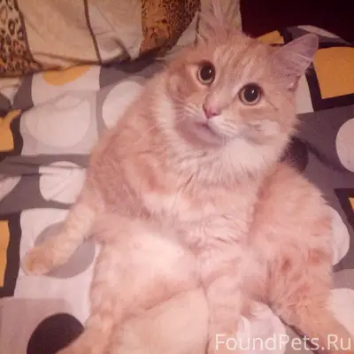 🆘️ПОМОГИТЕ НАЙТИ КОЛЮ! Советск...