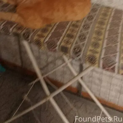 Здравствуйте всем у меня случи...