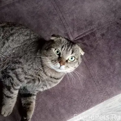 Всех приветствую, люди добрые!...