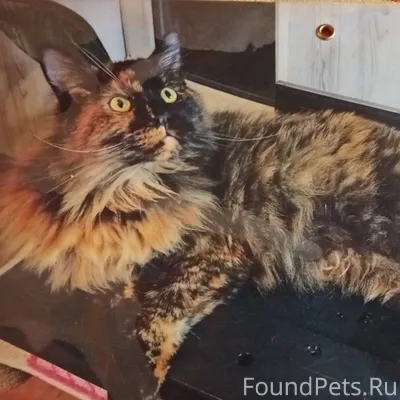 14.12.2025 г . В воскресенье.....