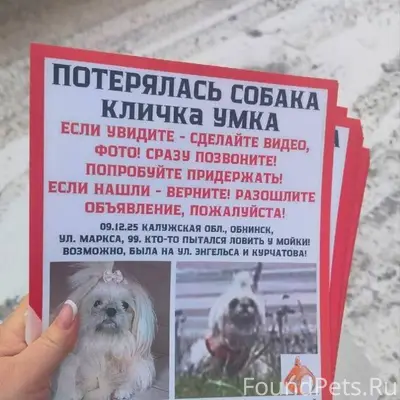 Потерялась собака. Хозяйка мес...