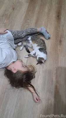 15.12.25 г. около 18...