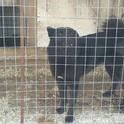 В пятницу вечером, на трассе м...